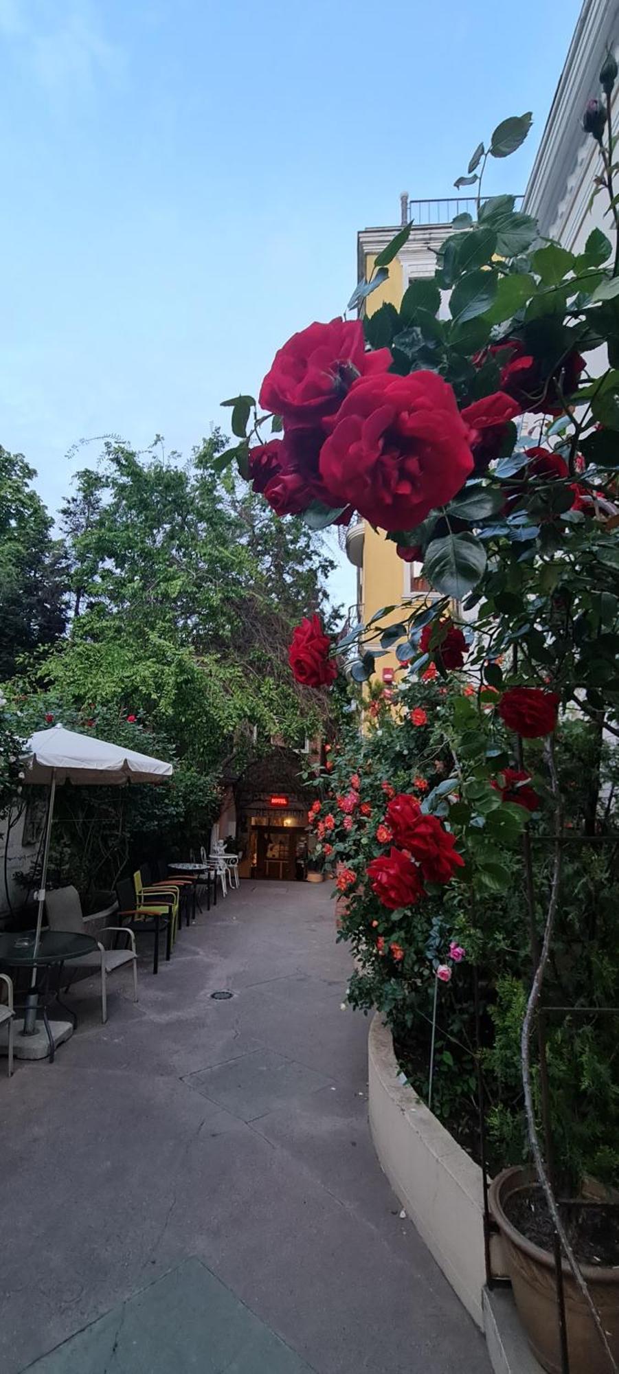 Casa Michelangelo Hotel Bucharest Luaran gambar